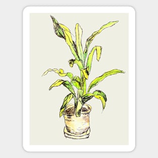 Potted Plants Houseplant Magnet